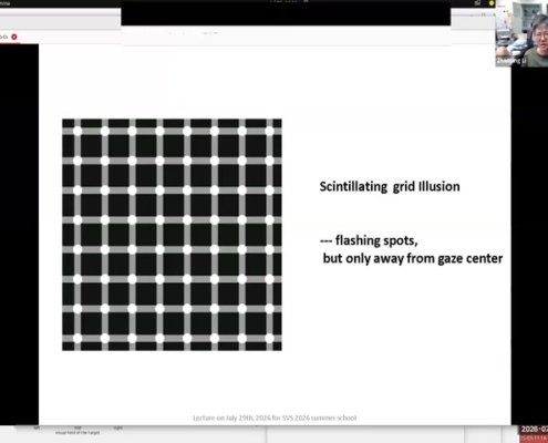 05_shared-screen-recognition-example_00-20-00