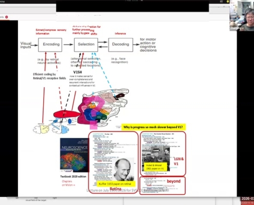 06_shared-screen-neural-basis_00-23-30