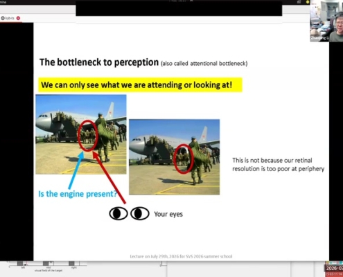 12_shared-screen-selective-attention_01-09-20
