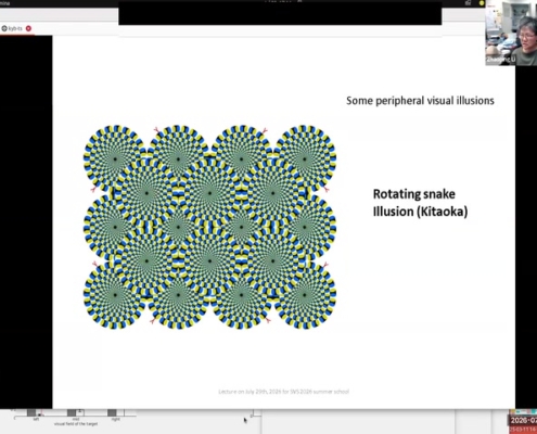 14_shared-screen-rotating-snakes_01-22-40