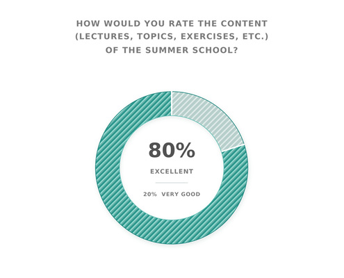 Ringdiagramm_Summer_School_Content_495x400